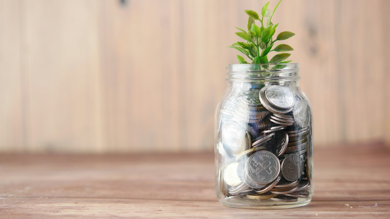 Pote de vidro com moedas e uma planta