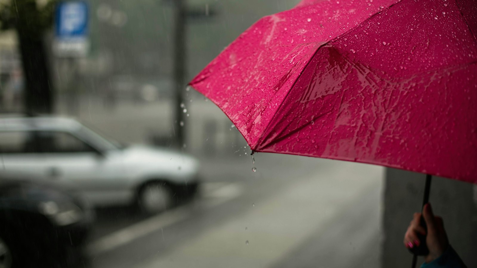 Guarda-chuva vermelho na chuva