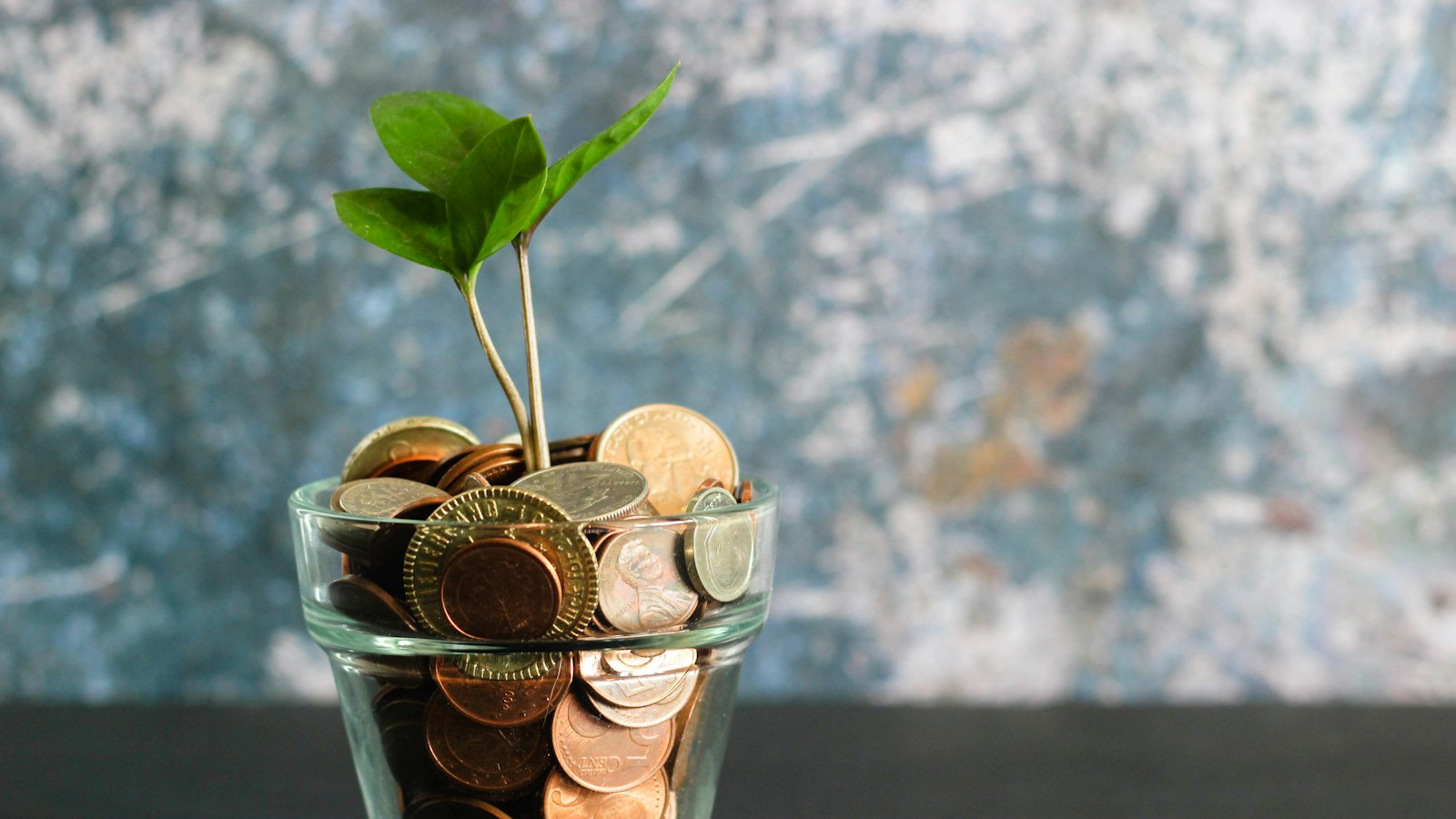 Planta crescendo em um pote de vidro com moedas