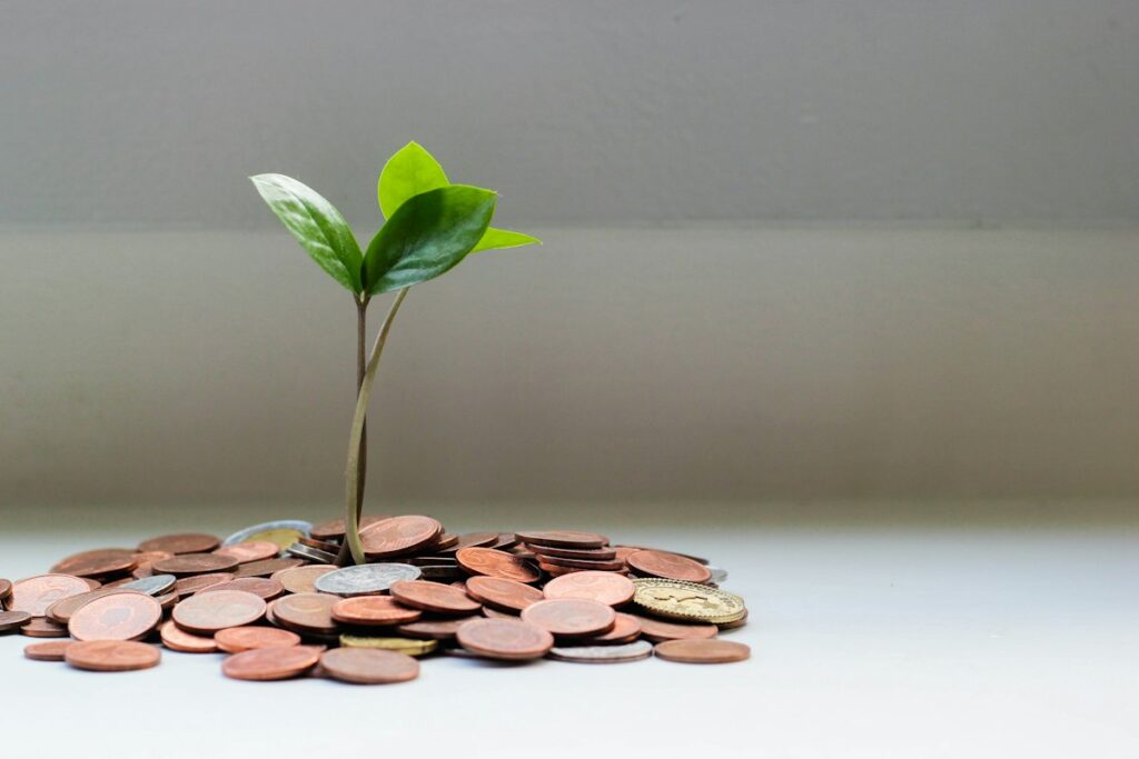 Pequena planta crescendo no meio de uma pilha de moedas, representando o rendimento de um investimento prefixado